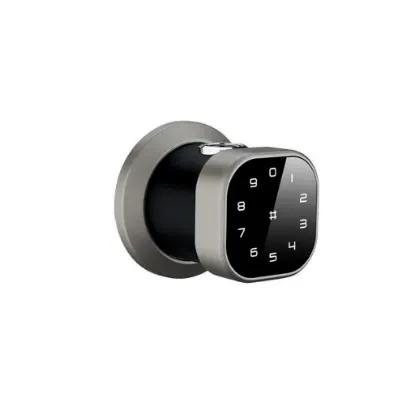 دستگیره دیجیتال هوم لاک مدل B220