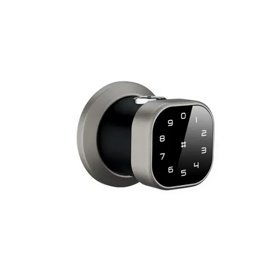 دستگیره دیجیتال هوم لاک مدل B220