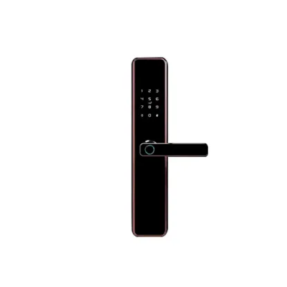 دستگیره دیجیتال هوم لاک مدل E160