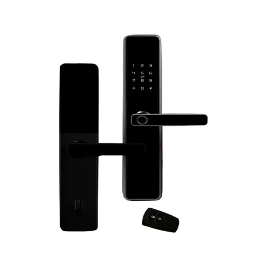 دستگیره دیجیتال هوم لاک مدل E160