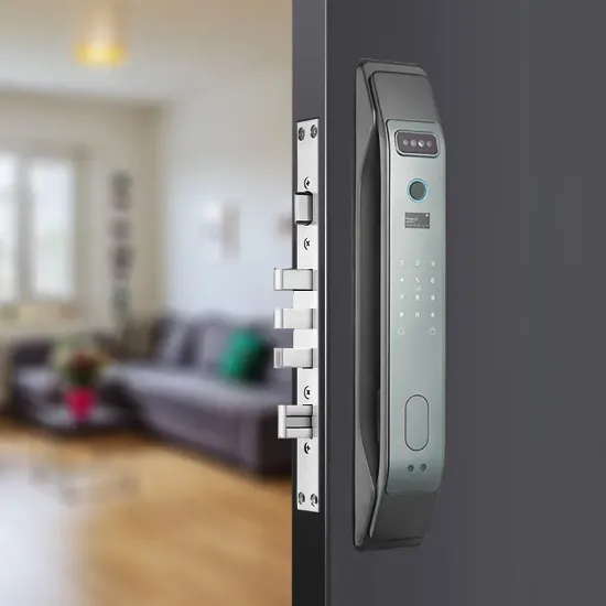 دستگیره دیجیتال هوم لاک مدل F300