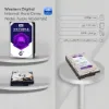 هارد اینترنال وسترن دیجیتال بنفش مدل WD60PURZ ظرفیت 6 ترابایت