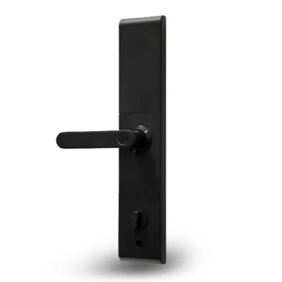 دستگیره دیجیتال کارن KAREN مدل H211